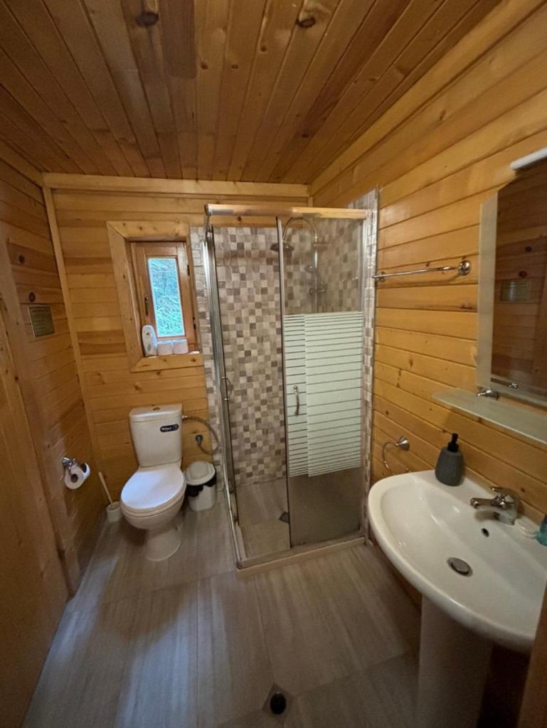 Chalet Sofia Borovets Bagian luar foto