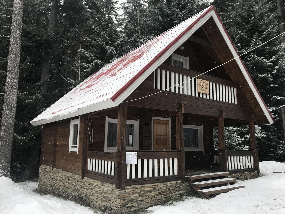 Chalet Sofia Borovets Bagian luar foto