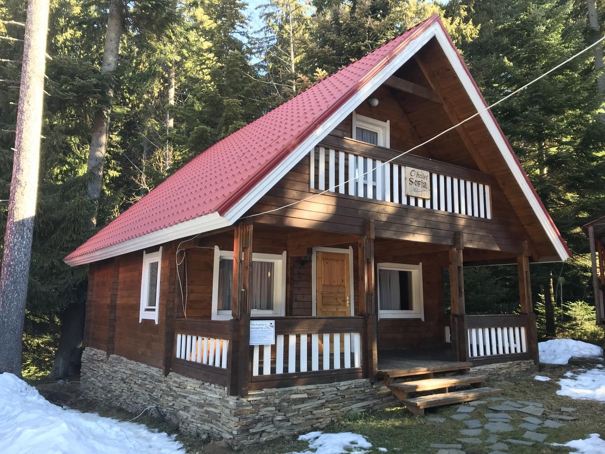 Chalet Sofia Borovets Bagian luar foto